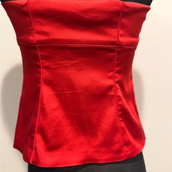 Cache Strapless Red Embellished Dress - Picture 4 of 6